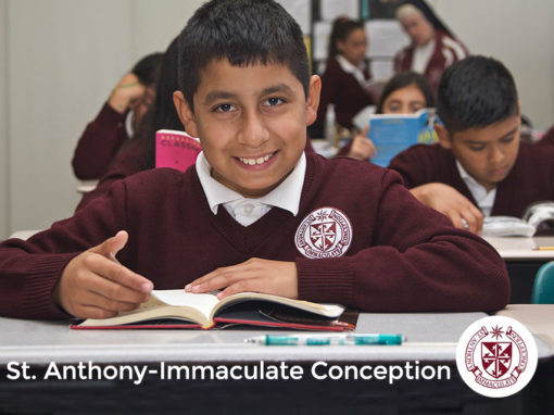 Saint Anthony – Immaculate Conception